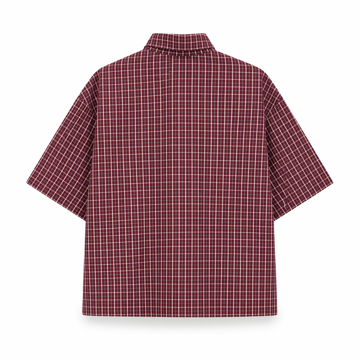 Camicia Check 2